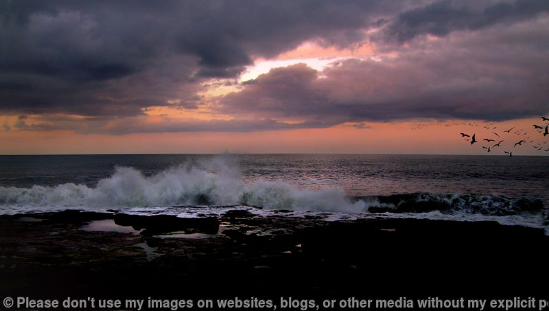 Distant Shores