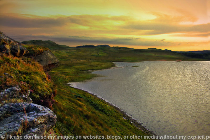 Greenheads Nature reserve  Hadrians Wall