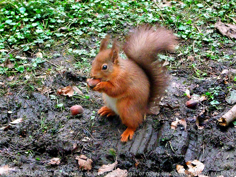 His Winter Coat