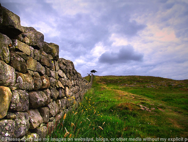 A Roman trail