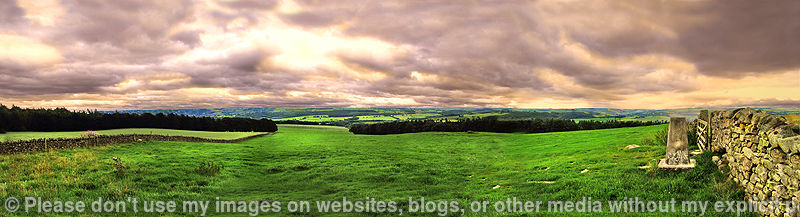 High Warden Hill