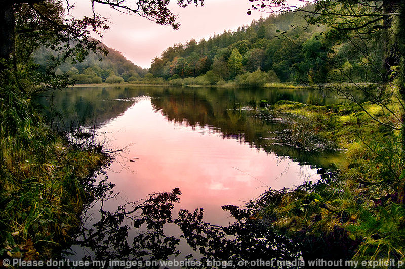 Yew Tree Tarn