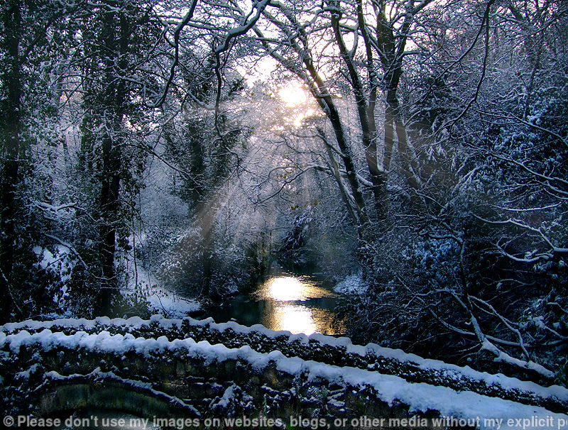Winter Beams