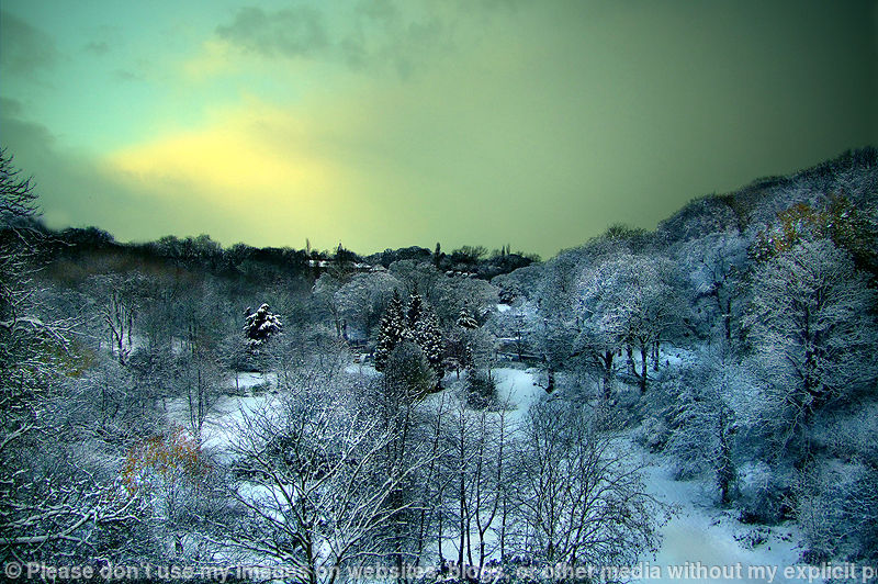 Late Dawn in the Dene