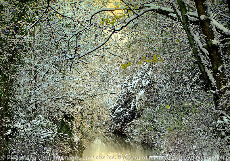 Winter fusion