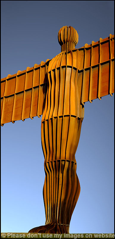 Geordie Giant