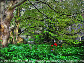 A Forgotten Corner Warkworth