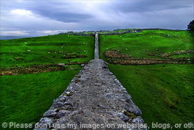 Housesteads