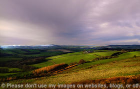 Chilly Cheviots