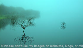 No Edge