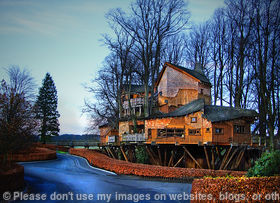 Alnwick Treehouse in Autumn
