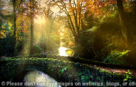 Dawn in the Dene