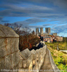 An Ancient trail