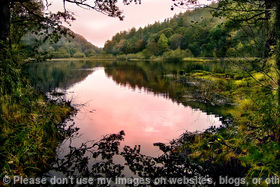 Yew Tree Tarn
