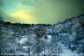 Late Dawn in the Dene