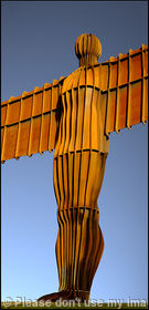 Geordie Giant