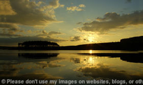 Kielder Gold