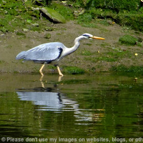 A spot of Fishing