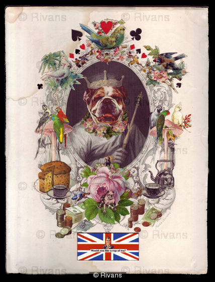 The Bulldog King