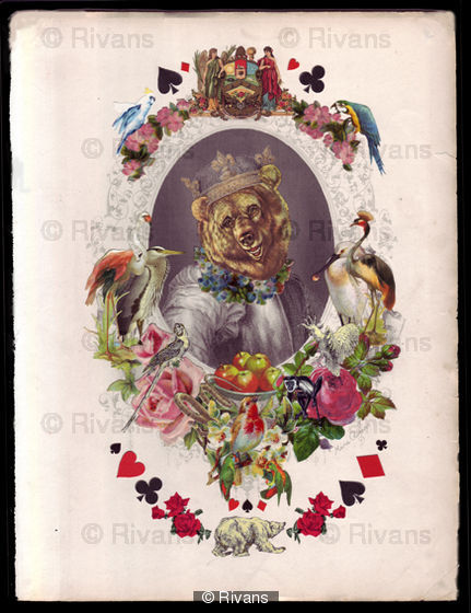 The Bear King