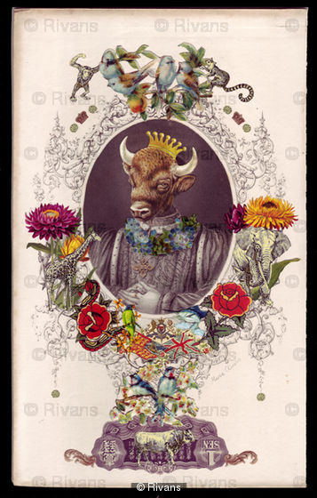 The Bull King