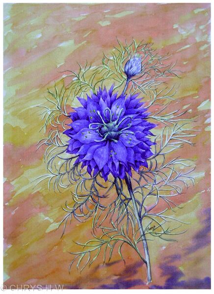 LOVE IN A MIST