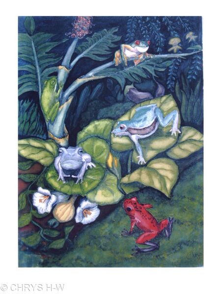 FROGS