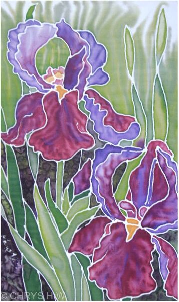 IRIS ON SILK