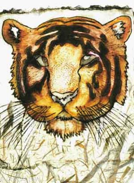 TIGER IN THE GRASS