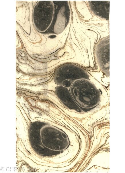 Black Spots