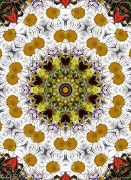 BOUQUET