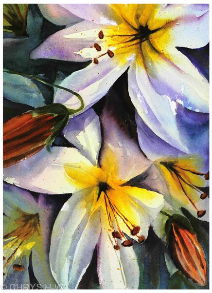 SUMMER LILIES