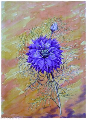 LOVE IN A MIST