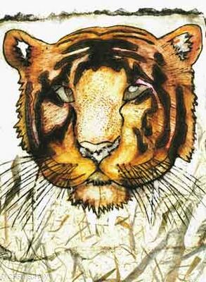 TIGER IN THE GRASS