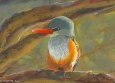 BEE EATER