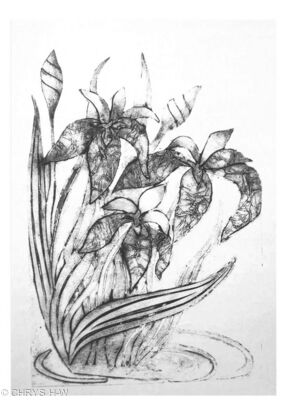 IRIS