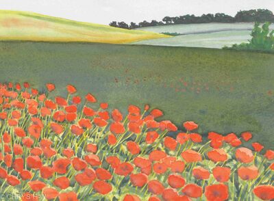 POPPY FIELD