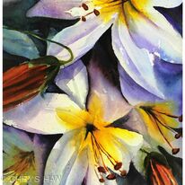 SUMMER LILIES
