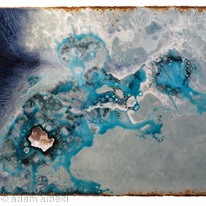 blue oyster alliance