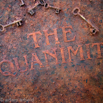 Equinimity (Detail)