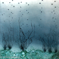 Perception III