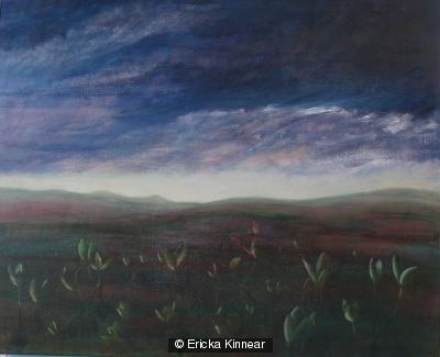 Bog Beans, Forsinard