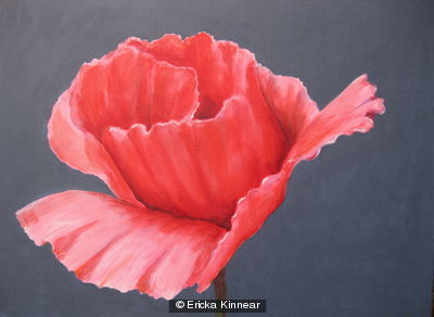 Poppies 1