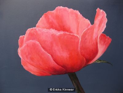Poppy 2