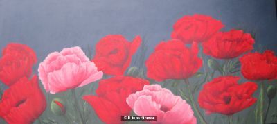 Alisons Poppies
