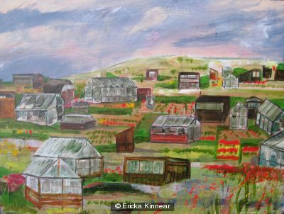 Dundee Allotment