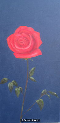 Kate's Rose