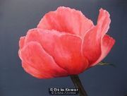 Poppy 2