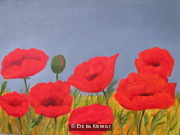 Poppies