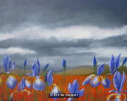 Iris 2